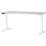 Artikelbild 1 für GERMANIA JET höhenverstellbarer Schreibtisch lichtgrau rechteckig, T-Fuß-Gestell weiß 160,0 x 80,0 cm, Artikelnummer 324388