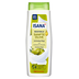 Bodylotion