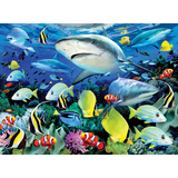 Artikelbild 1 für PRACHT® Creatives Malen-nach-Zahlen Meeresleben mehrfarbig, Artikelnummer 226419
