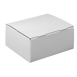 Nestler Versandkartons Pack-Set S 25,0 x 17,5 x 10,0 cm, 20 St.
