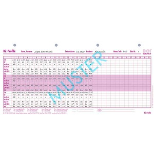 4052301033634 - BZ-Profile Formulare 50 St