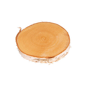 4006166190964 - Bastelholz natur Birkenscheiben 150-170 cm 4006166190964 - Bastelholz natur Birkenscheiben 150-170 cm