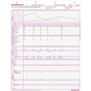 4052301033825 - Intensivdokumentation Formulare 50 St