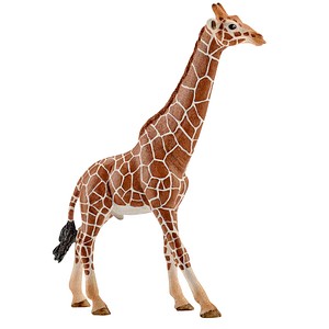 Image of Schleich Giraffe male