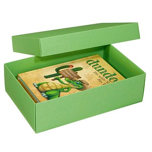 2 BUNTBOX L Geschenkboxen 3,6 l grün 26,6 x 17,2 x 7,8 cm