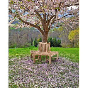 4041908099273 - Gartenbank Java 940149 natur Holz 1500 cm 4041908099273 Garden Pleasure 4041908099273 - Gartenbank Java 940149 natur Holz 1500 cm 4041908099273 Garden Pleasure