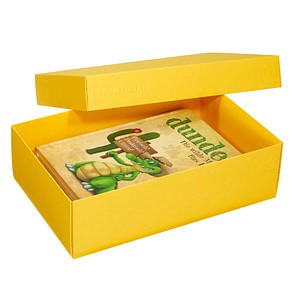 2 BUNTBOX L Geschenkboxen 3,6 l gelb 26,6 x 17,2 x 7,8 cm