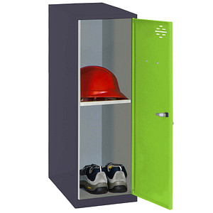 8425437119330 - Spind SIMONLOCKER DISM anthrazit grün 8425437119330 1 Schließfach 400 x 500 x 915 cm 8425437119330 Simonrack