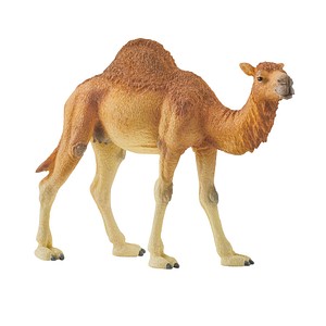 Image of Schleich 14832 Dromedar bunt