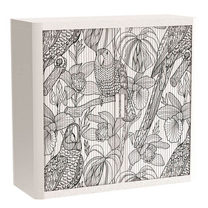 PAPERFLOW easyOffice Tropical Rollladenschrank 62464 2 Fachböden 110,0 x 41,5 x 104,0 cm