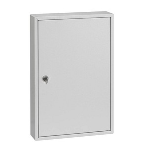 5901468300877 - Schlüsselkasten Schlüsselschrank Augsburg 64 64 Schlüsselhaken Zylinderschloss Grau