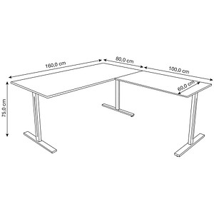 4044917442351 - Schreibtisch Form 1 11013011 65-130cm (H) 160x80cm (BxT) rechteckig lichtgrau silber 4044917442351 Kerkmann 4044917442351 - Schreibtisch Form 1 11013011 65-130cm (H) 160x80cm (BxT) rechteckig lichtgrau silber 4044917442351 Kerkmann