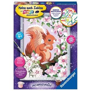4005556200641 - Malen-nach-Zahlen Neugieriges Eichhörnchen mehrfarbig 4005556200641 Ravensburger