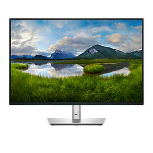 DELL P2425 Monitor 61,1 cm (24,0 Zoll) schwarz