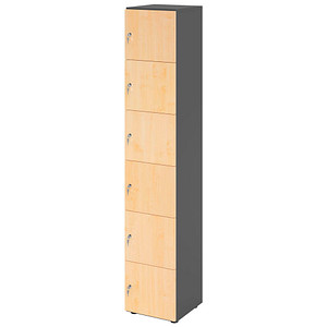 4032062313756 - HAMMERBACHER Schließfachschrank grafit ahorn V264L6 G 3 DS 6 Schließfächer 400 x 420 x 2156 cm