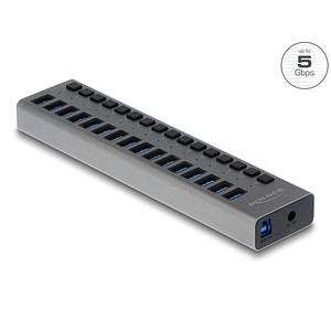 Image of DeLOCK USB-Hub 16-fach grau