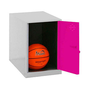 8425437117572 - Spind SIMONLOCKER DISM grau pink 8425437117572 1 Schließfach 400 x 500 x 475 cm 8425437117572 Simonrack