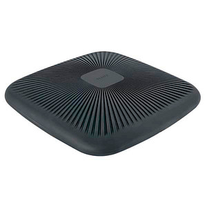 LEITZ Ergo Active Balance-Kissen grau