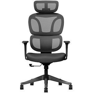 FlexiSpot Bürostuhl BS5BB Stoff schwarz, Gestell schwarz