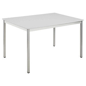 3700245399293 - Mehrzwecktisch lichtgrau alu rechteckig Vierkantrohr alu 1200 x 800 x 740 cm 3700245399293 SODEMATUB