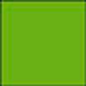 7318761039980 - Kopierpapier COLOURED PAPER intensivgrün DIN A4 80 g qm 500 Blatt 7318761039980 - Kopierpapier COLOURED PAPER intensivgrün DIN A4 80 g qm 500 Blatt