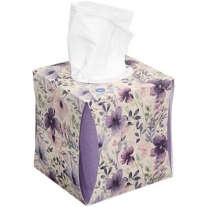 4262419330857 - Kosmetiktücherbox 3-lagig weiß 1 St