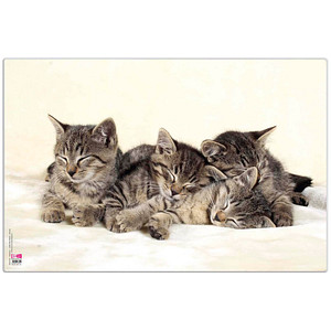 4000225078378 - Schreibtischunterlage Kunststoff Katzen 4000225078378 VELOFLEX