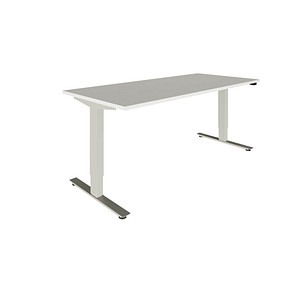 fm Oldenburg elektrisch höhenverstellbarer Schreibtisch weiß rechteckig, T-Fuß-Gestell silber 160,0 x 80,0 cm
