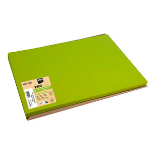 3281513040357 - 500 Platzsets Tiss Lack grün 300 x 400 cm 3281513040357 500 Stück