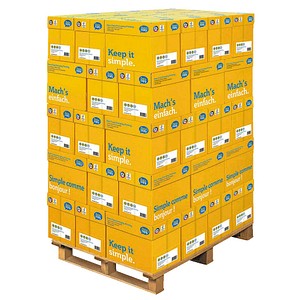 Data copy Kopierpapier Everyday Printing DIN A4 80 g/qm Palette mit 240x 500 Blatt