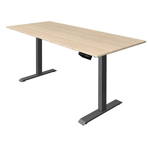 Kerkmann Move 1 elektrisch höhenverstellbarer Schreibtisch ahorn rechteckig, T-Fuß-Gestell grau 180,0 x 80,0 cm