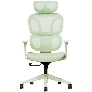 FlexiSpot Bürostuhl BS5LG Stoff grün, Gestell schwarz