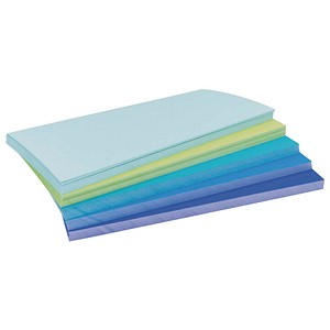 Magnetoplan Moderationskarten Sea 112501530, 20x10cm, rechteckig, 120g, farbig sortiert  4013695066974 Magnetoplan 250 Stück