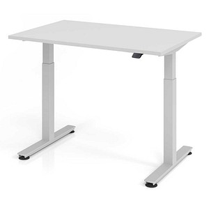 HAMMERBACHER XMST12 elektrisch höhenverstellbarer Schreibtisch lichtgrau rechteckig, T-Fuß-Gestell silber 120,0 x 80,0 cm