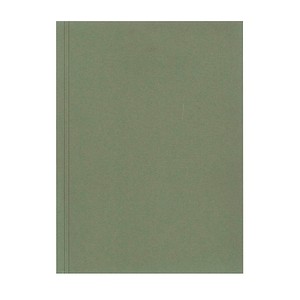 4018924832016 - Aktendeckel DIN A4 grün 25 St