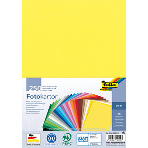 folia Fotokarton farbsortiert 300 g/qm 250 Blatt