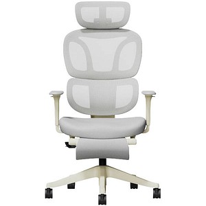 FlexiSpot Bürostuhl BS5LG-PRO Stoff grau, Gestell schwarz