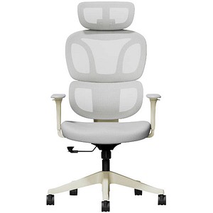 FlexiSpot Bürostuhl BS5WG Stoff grau, Gestell schwarz