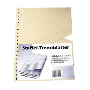Wekre Staffel-Trennblätter Staffell 9591100100 A4 chamois 190g Karton 4018924959119 Wekre 100 Stück