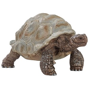 Image of Schleich - Wild Life - Riesenschildkröte