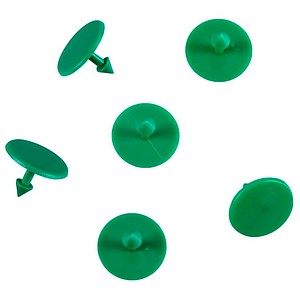 4052301041325 - Stecknadeln grün 100 St