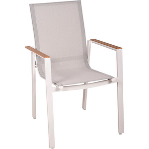 4041908134219 - Gartenstühle mit Armlehnen Venice hellgrau Metall 2 St