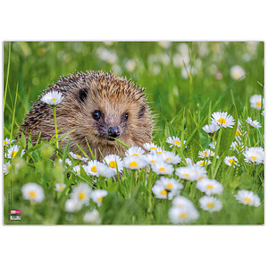 4000225078361 - Schreibtischunterlage Kunststoff Igel 4000225078361 VELOFLEX