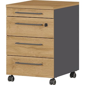 Agenda Home Rollcontainer grafit, grandson-eiche 4 Auszüge