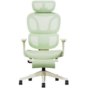 FlexiSpot Bürostuhl BS5WG-PRO Stoff grün, Gestell schwarz