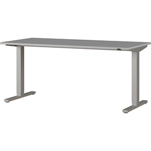 4005949424241 - Schreibtisch Agenda elektrisch höhenverstellbar Rechteck T-Fuß B 1600 x T 800 x H 730-1200 mm lichtgrau silber + Kabelschacht