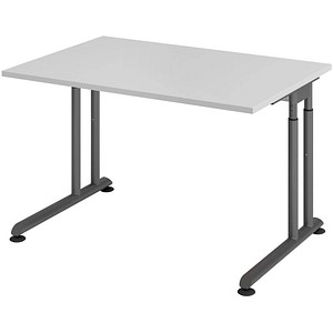 HAMMERBACHER ZS12 höhenverstellbarer Schreibtisch lichtgrau rechteckig, C-Fuß-Gestell grau 120,0 x 80,0 cm