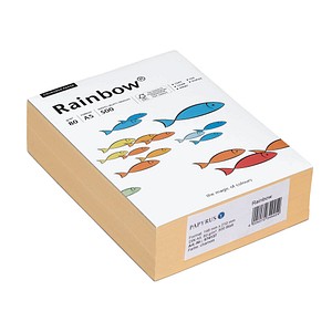Rainbow Kopierpapier COLOURED PAPER chamois DIN A5 80 g/qm 500 Blatt Rainbow Kopierpapier COLOURED PAPER chamois DIN A5 80 g/qm 500 Blatt