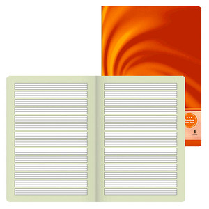 BRUNNEN Schulheft Vivendi Lineatur 1 liniert DIN A4 ohne Rand, 32 Blatt, 1 St.