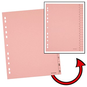 4250073738522 -  Trennblätter 100110259203323 A4 rot 250g Karton 4250073738522 HEAD 100 Stück